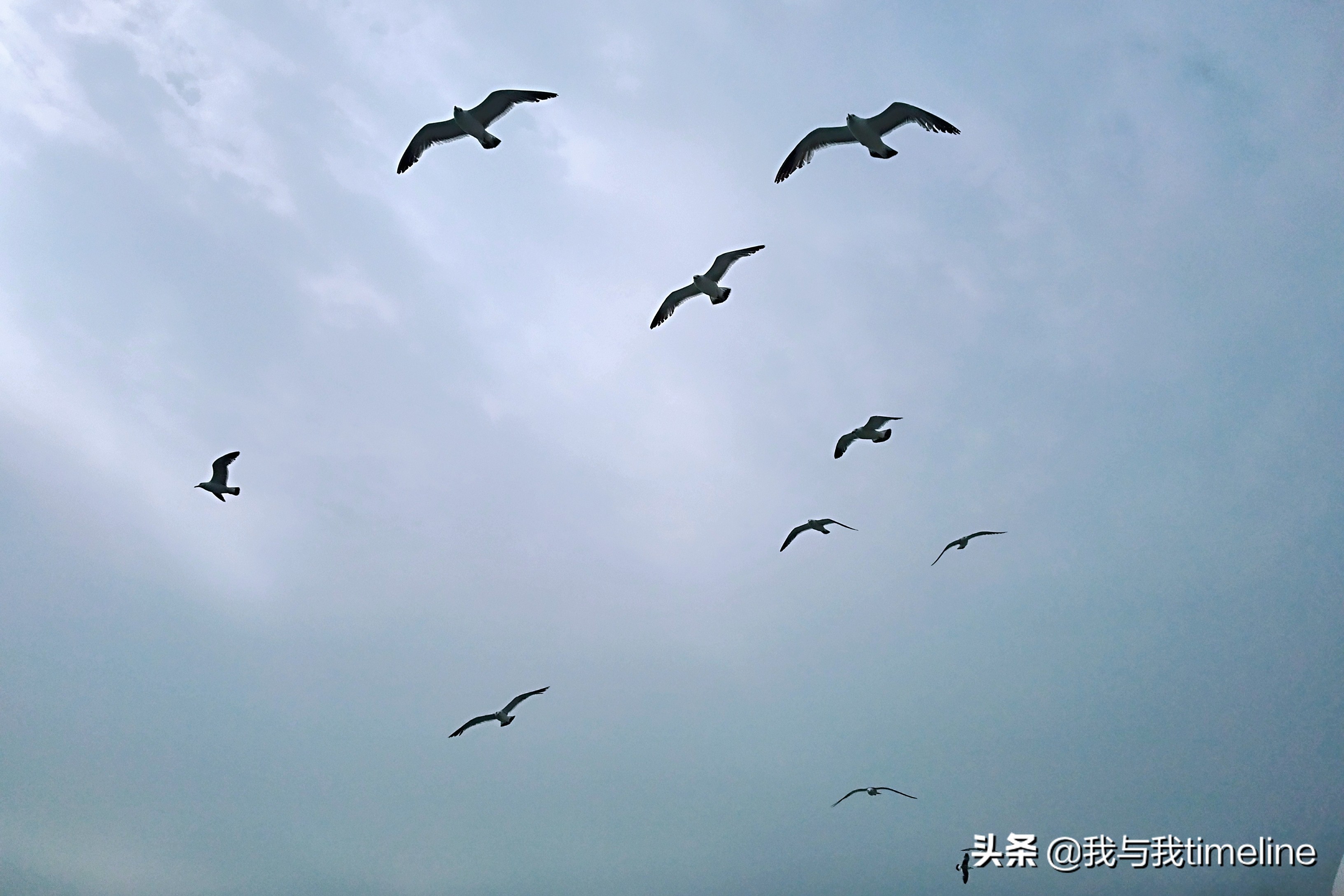 在逍遥游中庄子是个怎样的人,庄子逍遥游中的四大人生境界