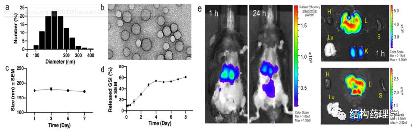 靶向药会引起血糖酮症酸中毒吗,靶向药物parp抑制剂