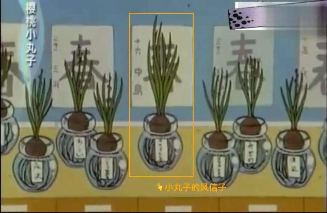 樱桃小丸子永远停更了吗,樱桃小丸子停更了吗