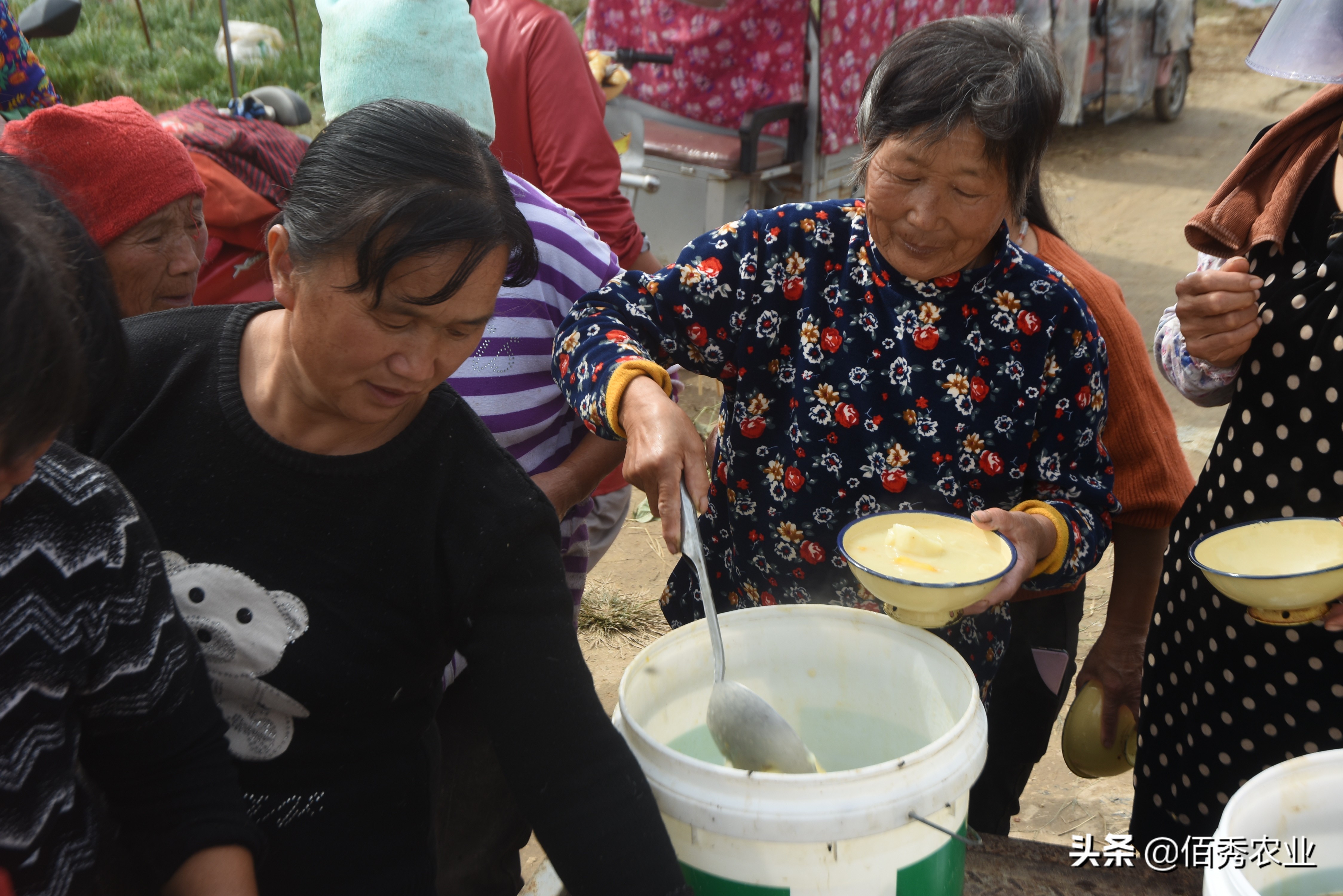 农村妇女不上班在家种地能赚多少,一个农村妇女在家能干什么好赚钱