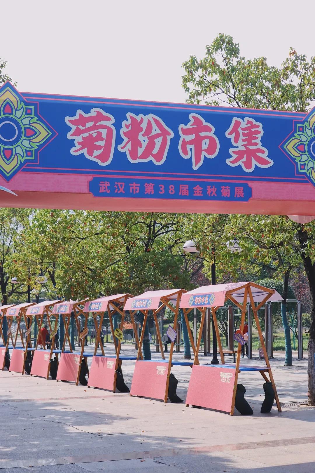 金秋时节菊展赏菊,趁着周末逛菊展