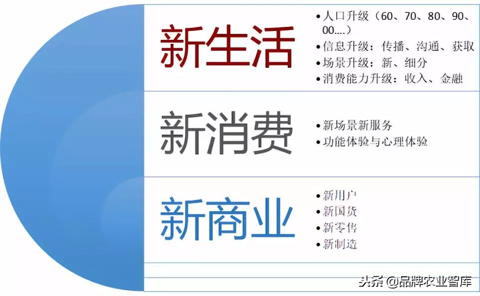拼多多逻辑深度解析,拼多多深度剖析