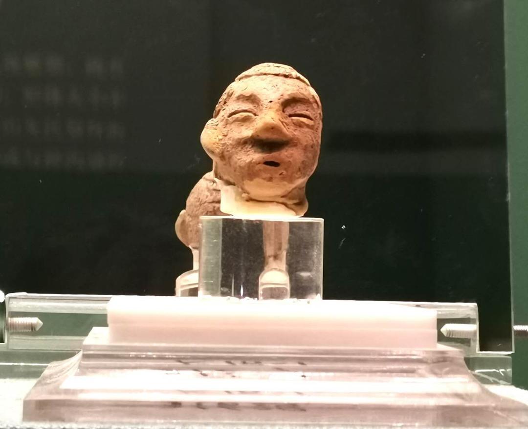 沈阳市新闻12月5日,沈阳新闻15日微博