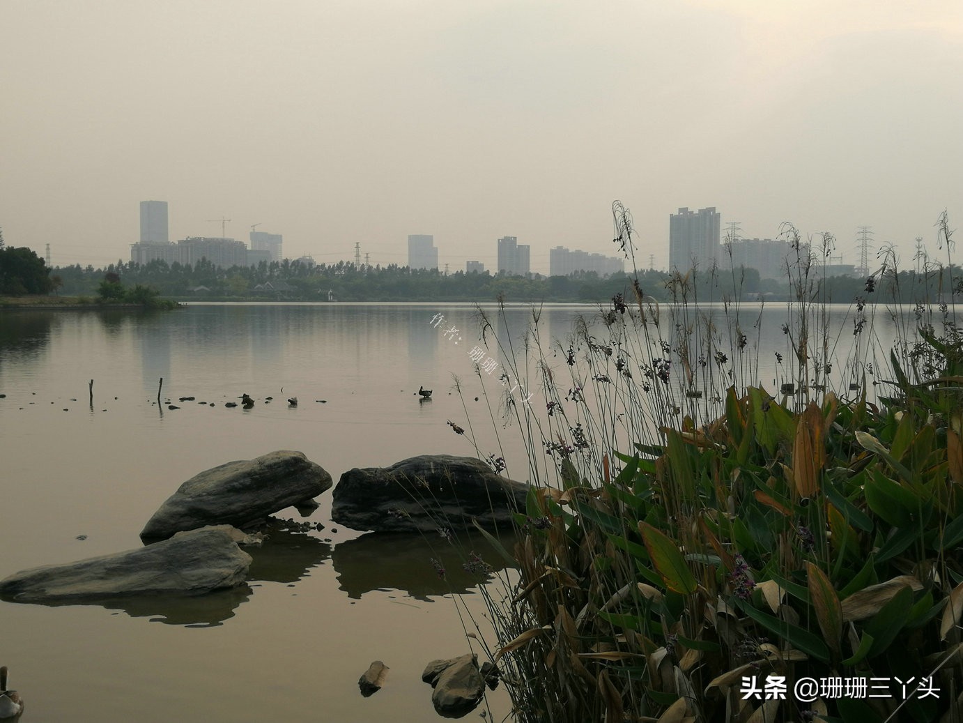 广州湿地公园推荐,广州龙潭河湿地公园