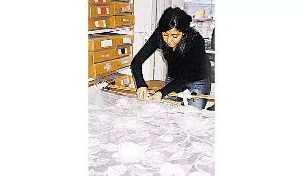 赌王10亿嫁妆,一场婚礼藏着赌王家族的秘密