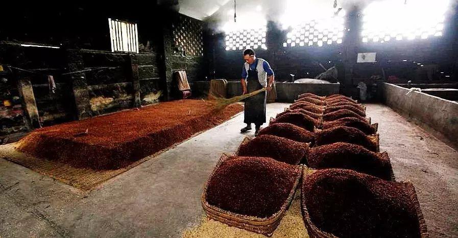 蜀人原乡完整版,三贤故里长寿之乡资阳