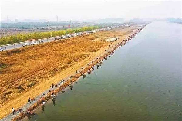 大师新手各亮绝技，1200人竞逐“古黄河野钓王”——2019年江苏省第三届古黄河野钓大赛侧记