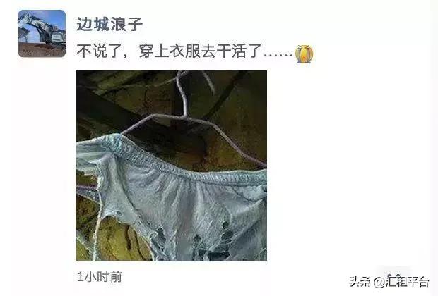 现在养挖机还能挣钱吗,养猪亏了50万还要继续养吗