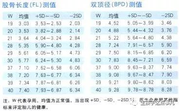 四维b超单子右上角字母f代表什么,b超单子字母都分别代表什么