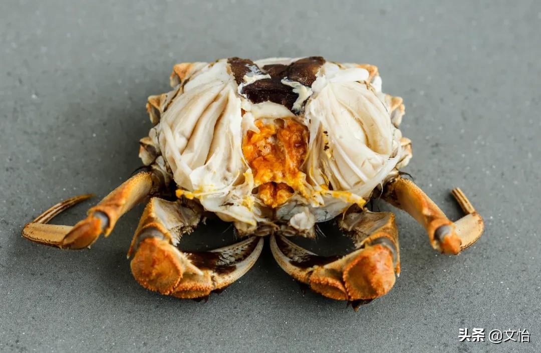 科普河蟹和海蟹的区别,海蟹和河蟹有什么区别在哪里
