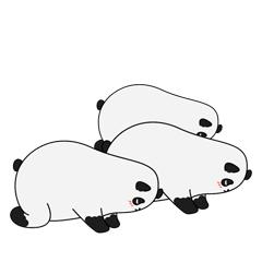 用针作画骗人的案例,用针作画骗局揭秘