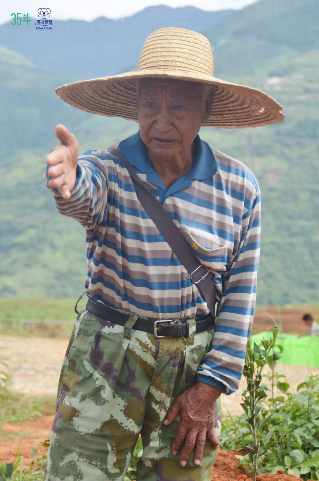 褚橙新农人,褚橙为什么是新农人