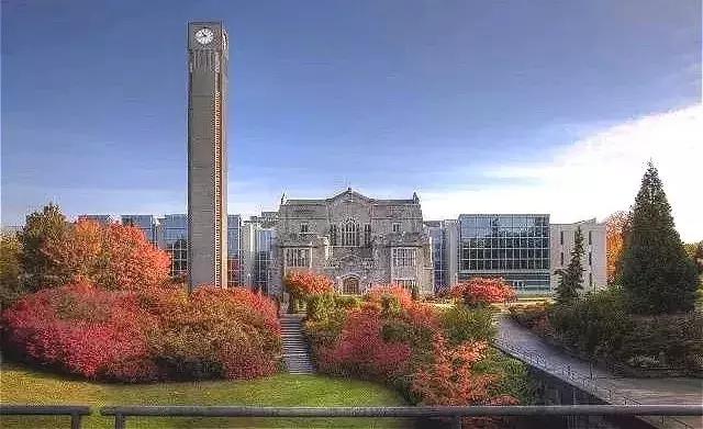 全球顶尖研究型大学,世界顶尖大学录取通知