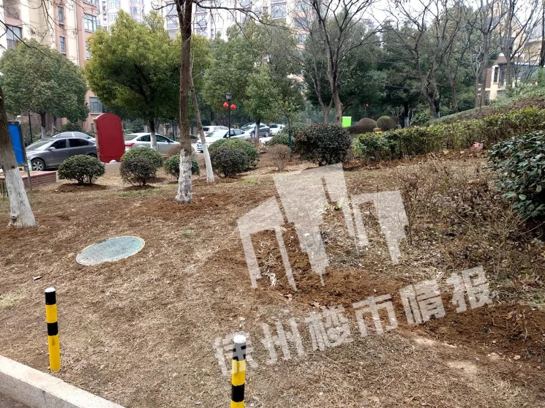 有钱人住的小区是什么样子的,徐州烂尾住宅楼盘最新