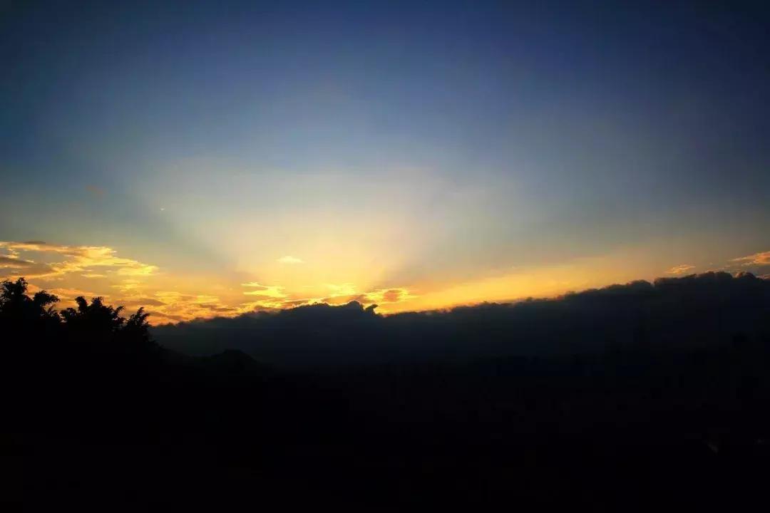 深圳莲花山真的美,深圳莲花山有什么特别的地方