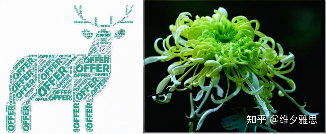 只有留学生才能看懂的“神秘代码”，你知道几个？