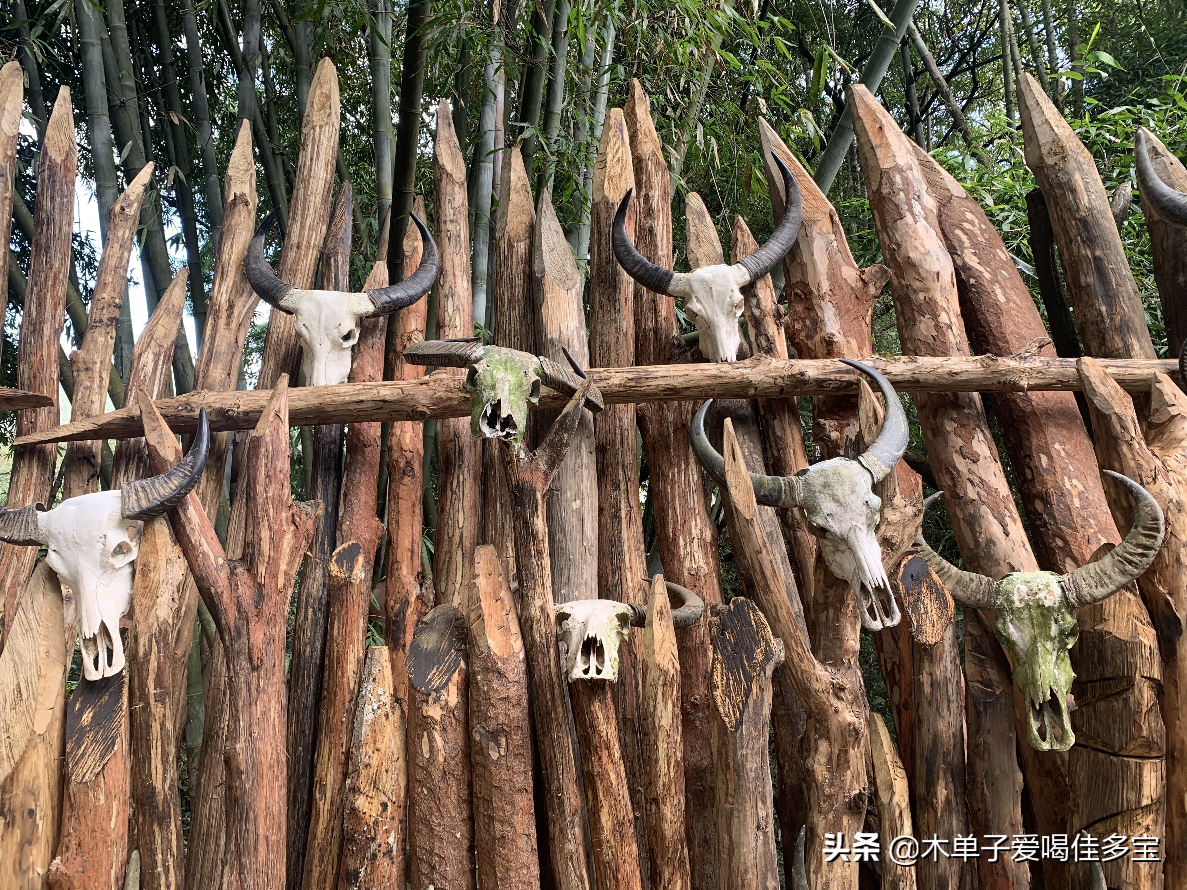 岁月在这里停留,岁月在这儿纪录片