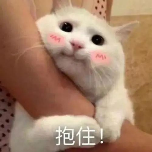 怎么解决表情包侵权的问题,滥用别人照片做表情包判几年