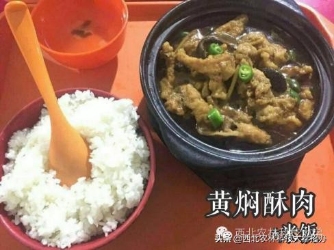 一所大学就是一座城！让你爱上西北农林科技大学的5大理由