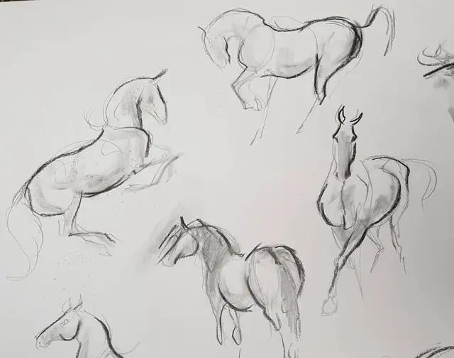 马怎么画简单图画,马怎么画更真实