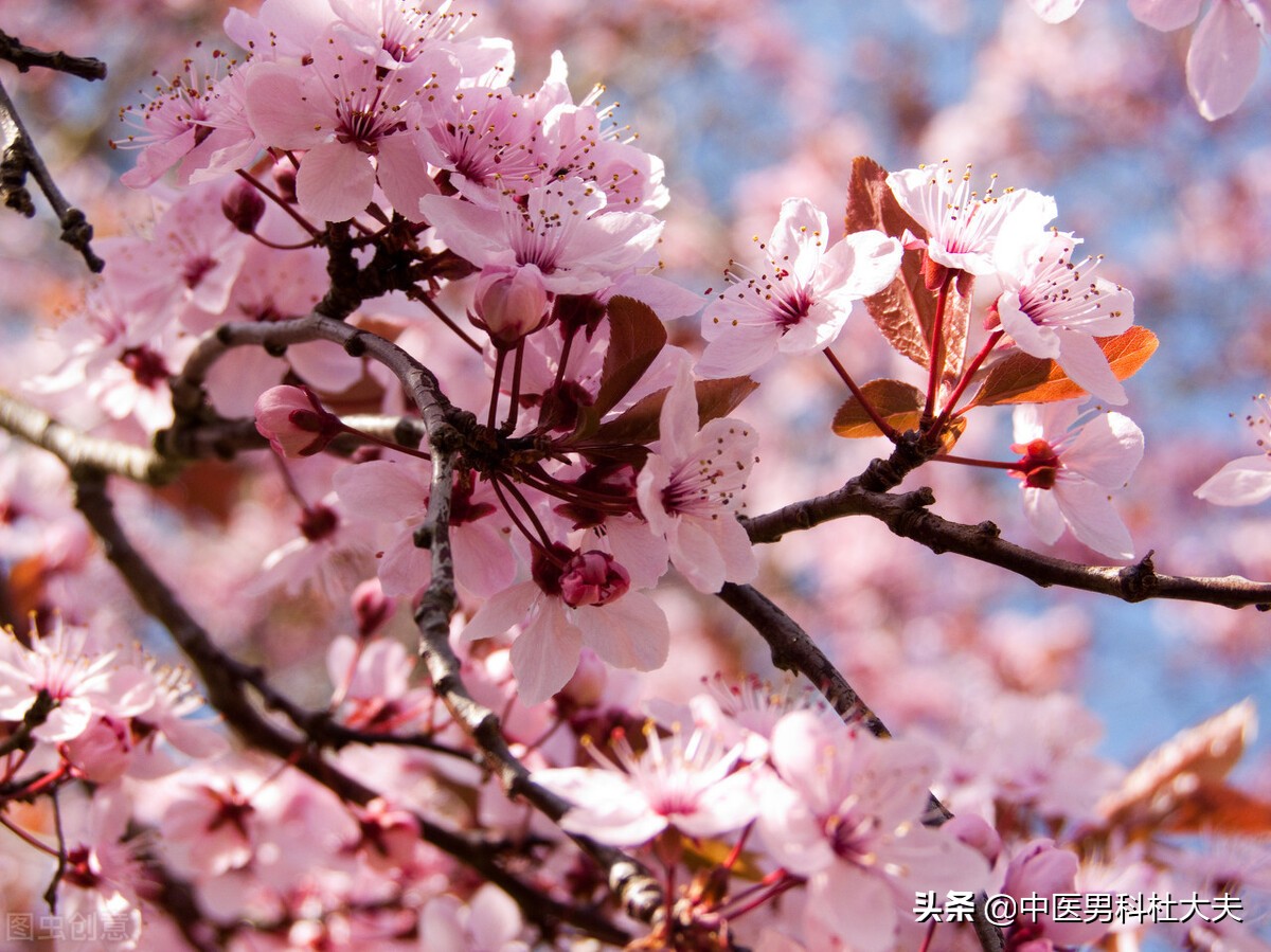 肾气不固脾虚痰湿吃什么中成药,痰湿体质怎么补肾气