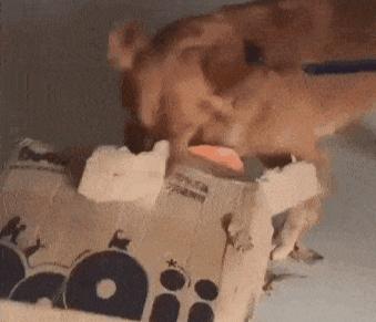 这十大鸡肋彩妆别说你还在用,买完就后悔的东西