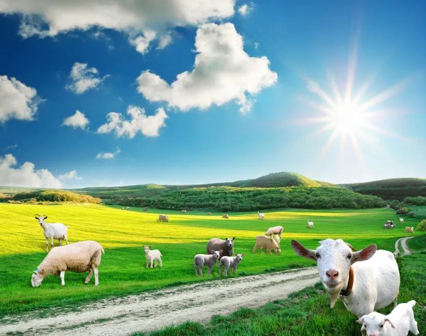 好纠结不知道给宝宝喝哪款奶粉,怎么知道宝宝喝的奶粉是否适合