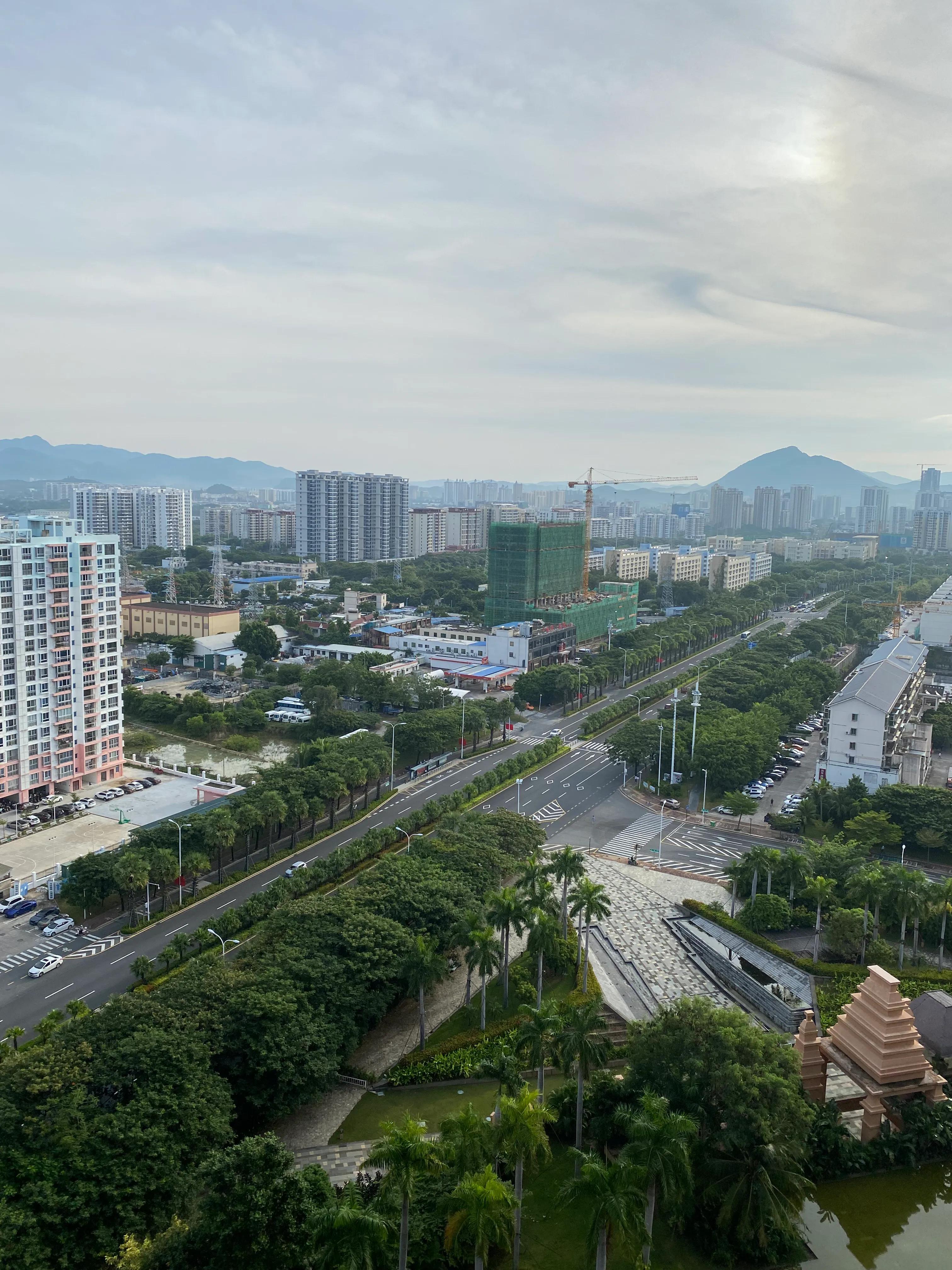 三亚红树林大王棕酒店免税店怎样,三亚湾红树林椰林酒店预订