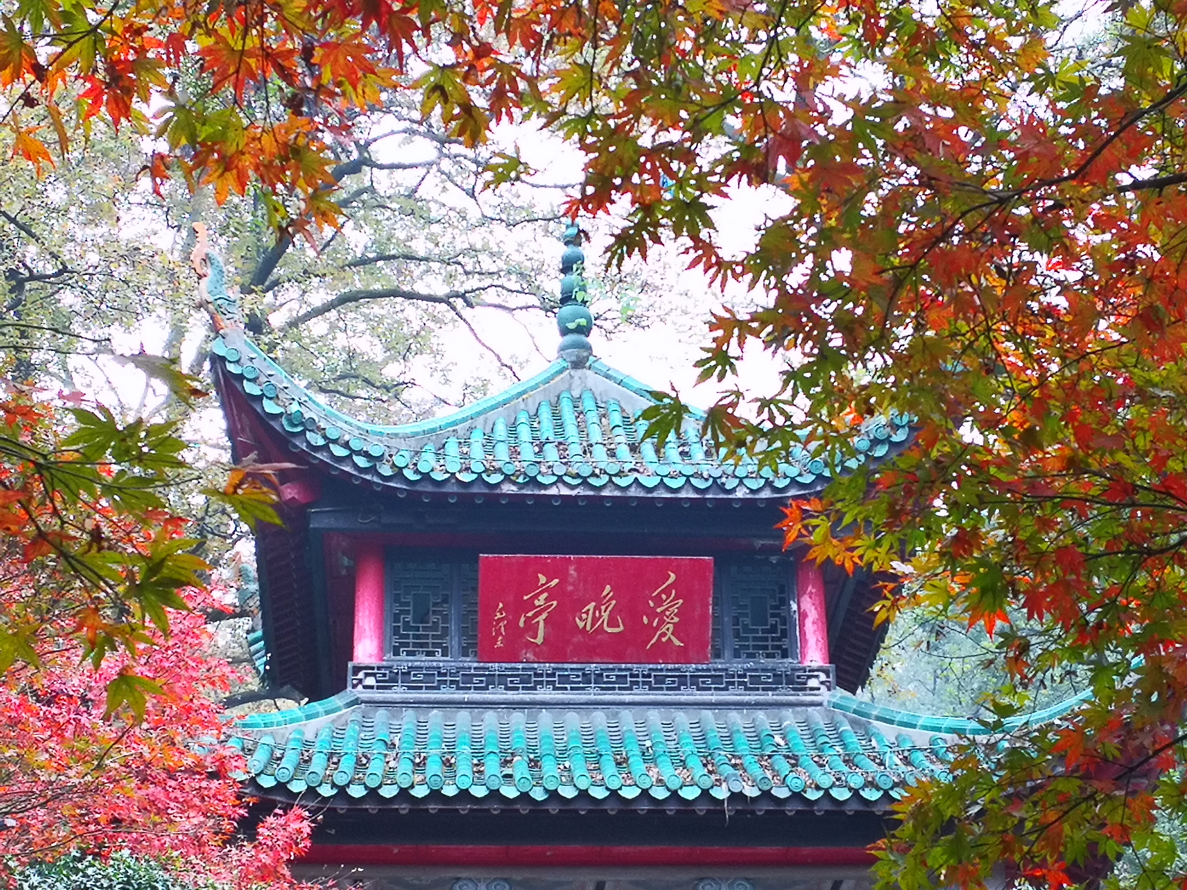 最实惠长沙一日游,长沙一日游的攻略