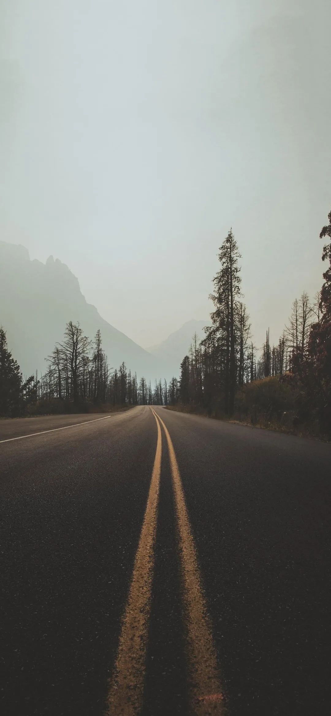 壁纸超清4k手机壁纸iphone6,iphone壁纸第五人格