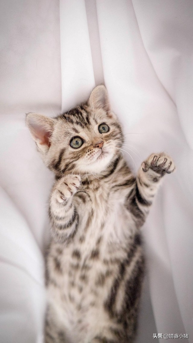 任何事不要轻易评判,任何事情不要太奢望