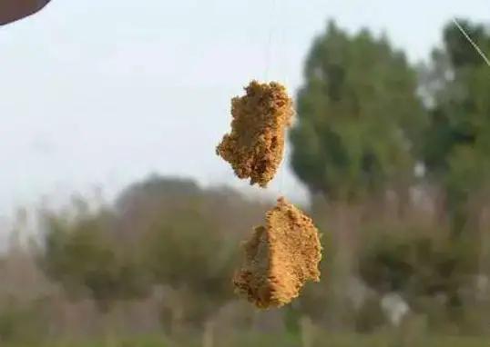 蚯蚓红虫钓鲫鱼的正确方法与技巧,蚯蚓红虫商品饵哪个钓鲫鱼好