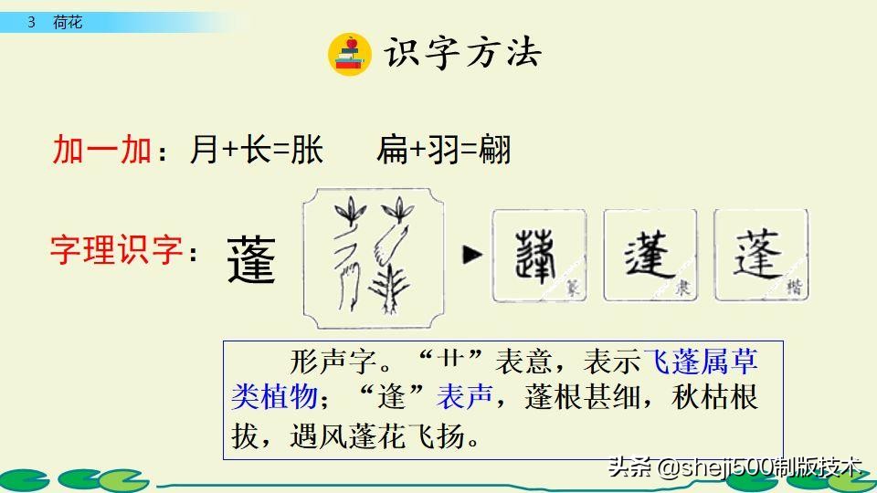 部编版三年级下册语文3荷花讲解,三年级下册部编语文荷花教学视频