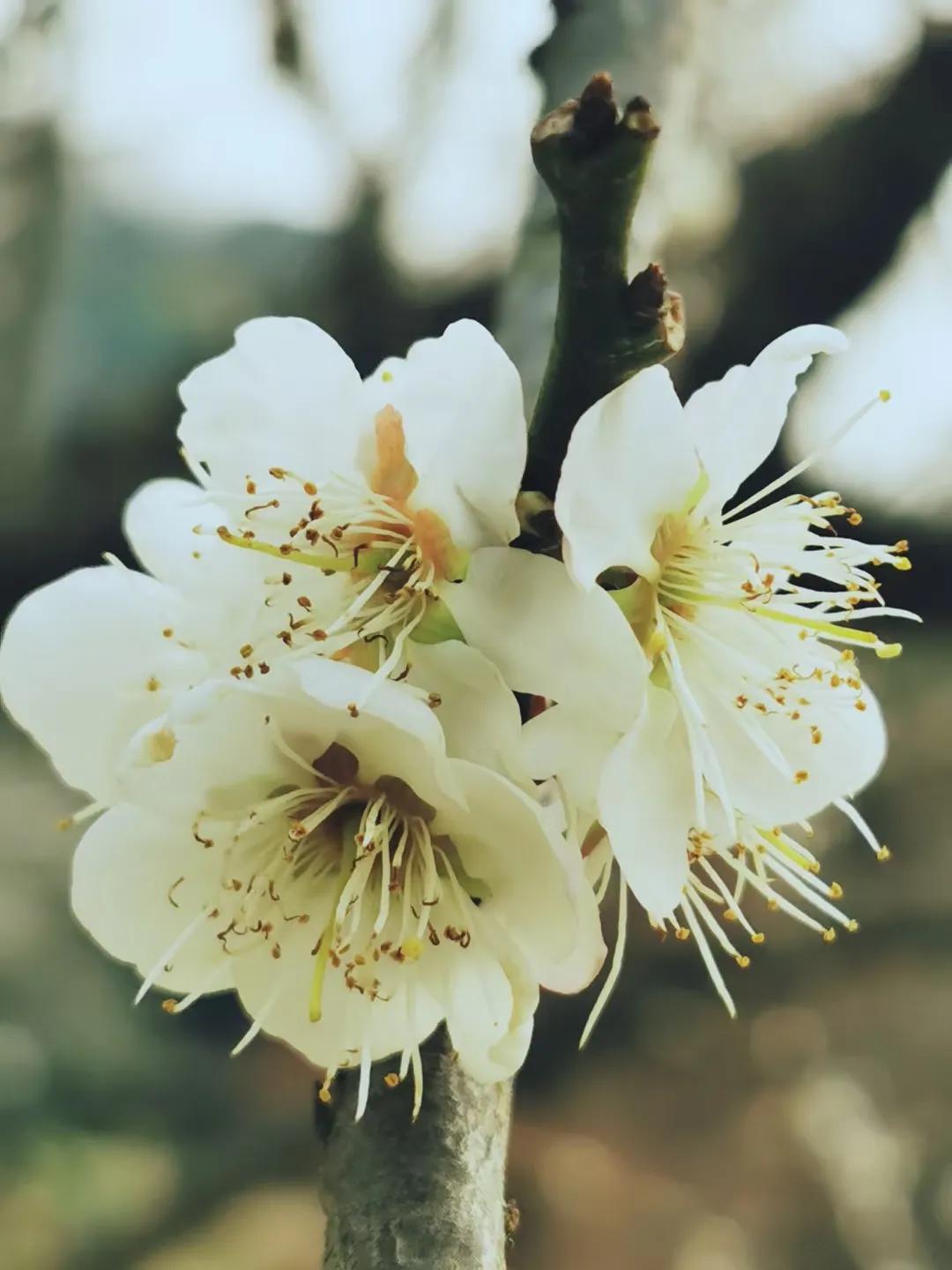 如何引导女孩子走出恐婚症,女朋友有疑病症该怎么办