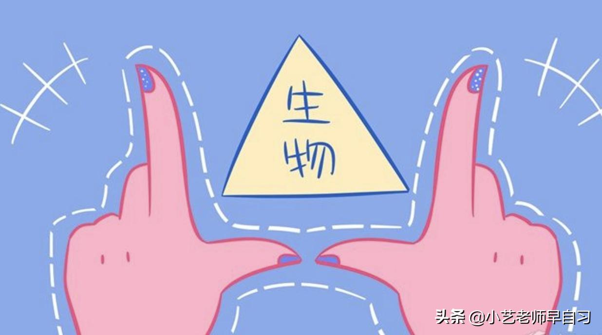 初中生物不好怎么补救,初中生地理生物特别差是什么原因