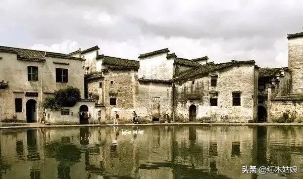 木蜡和蜂蜡的区别,木蜡油和蜂蜡有什么区别