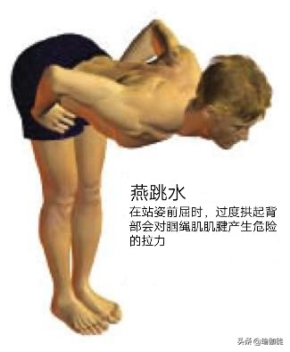 大腿后肌群拉伤可以做什么训练,大腿后肌群拉伤可以按摩吗