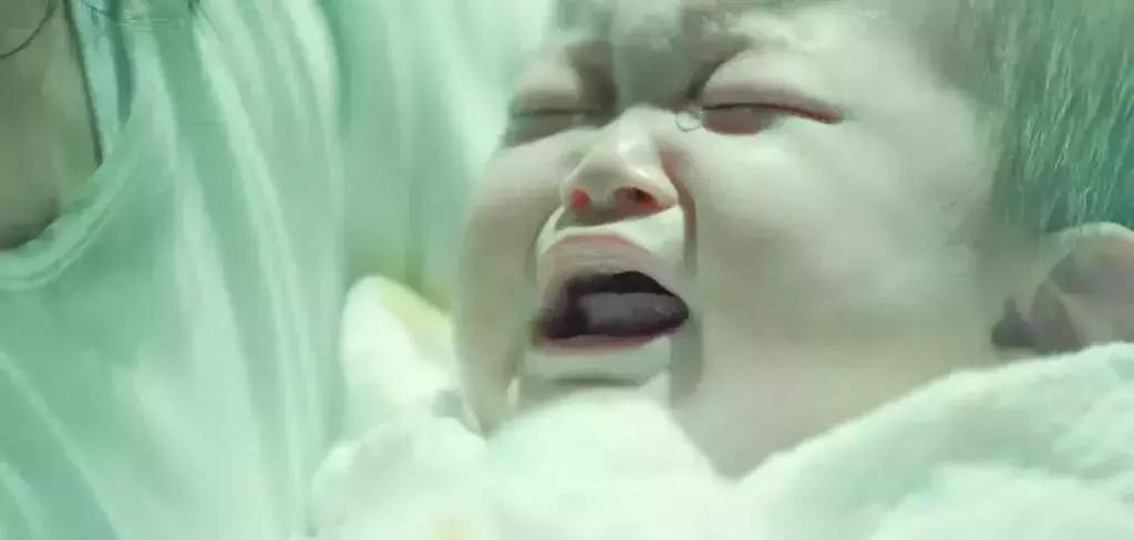 每个女人都该看的纪录片,每个女人都该看的一部电影