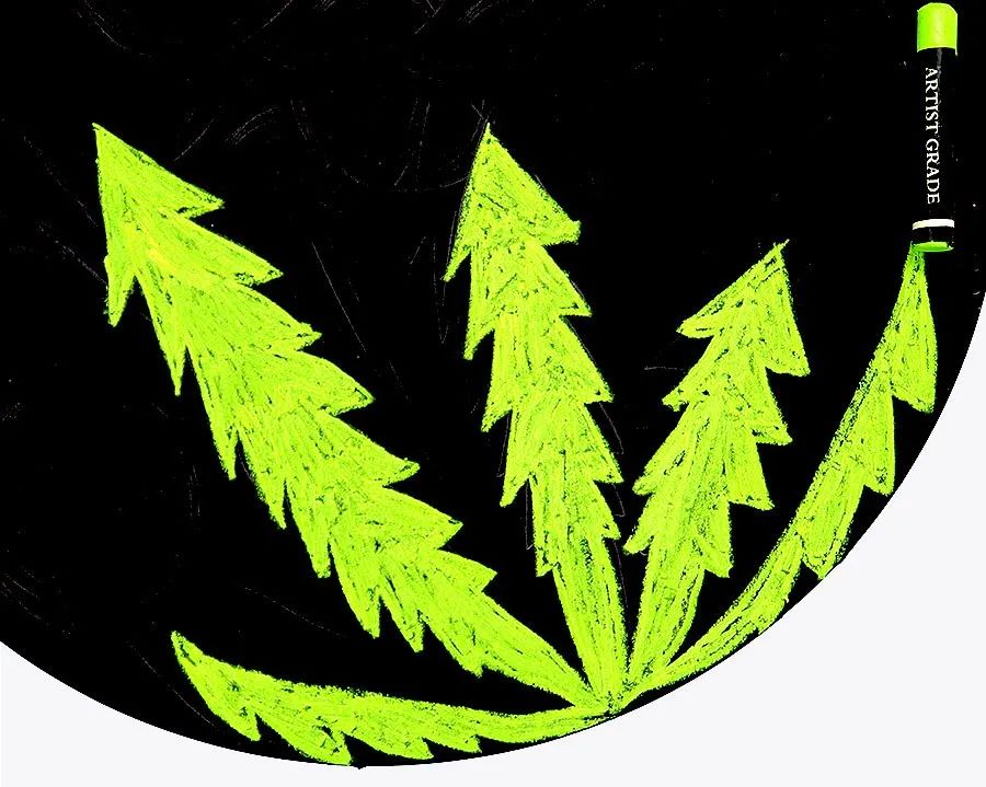 油画棒儿童画蒲公英,儿童画油画棒教程大全