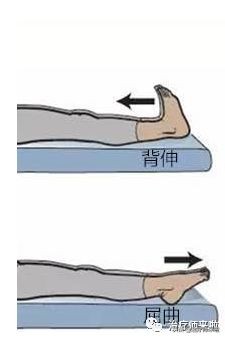 踝关节不稳的发生机制、康复训练及预防