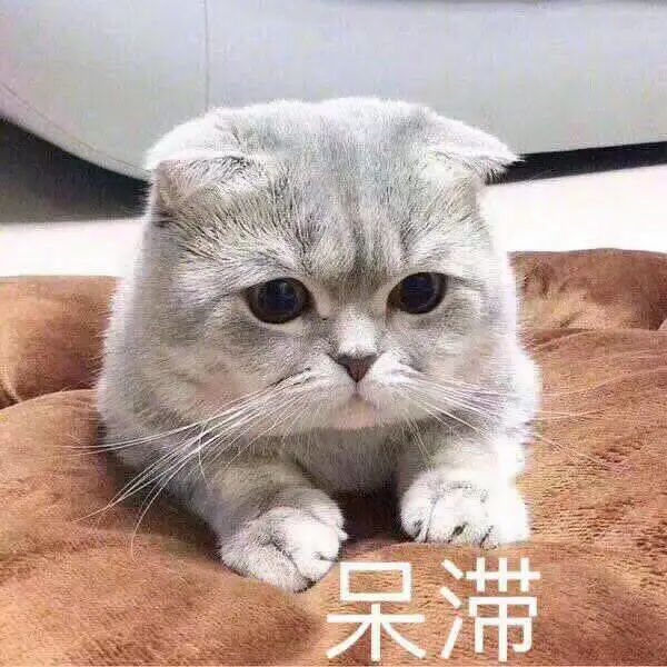 英国签证杭州1月31号递签吗,英国签证浙江哪里办的