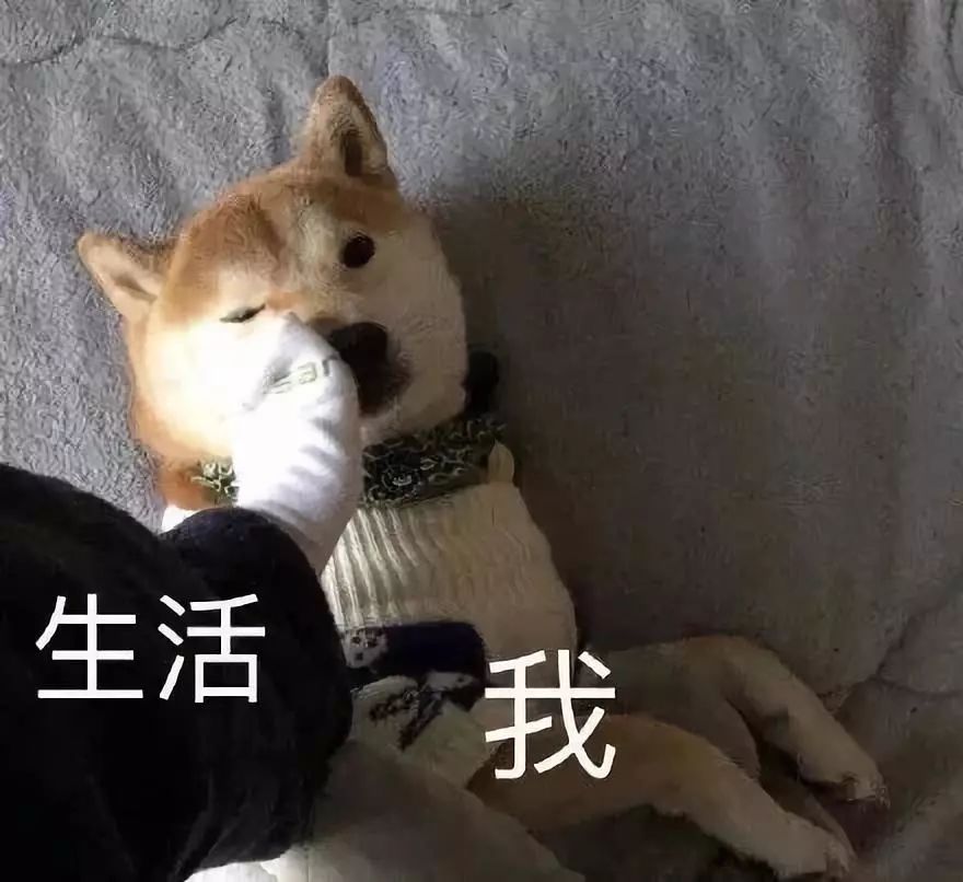 鑹鸿鐢熸椿,鑹鸿