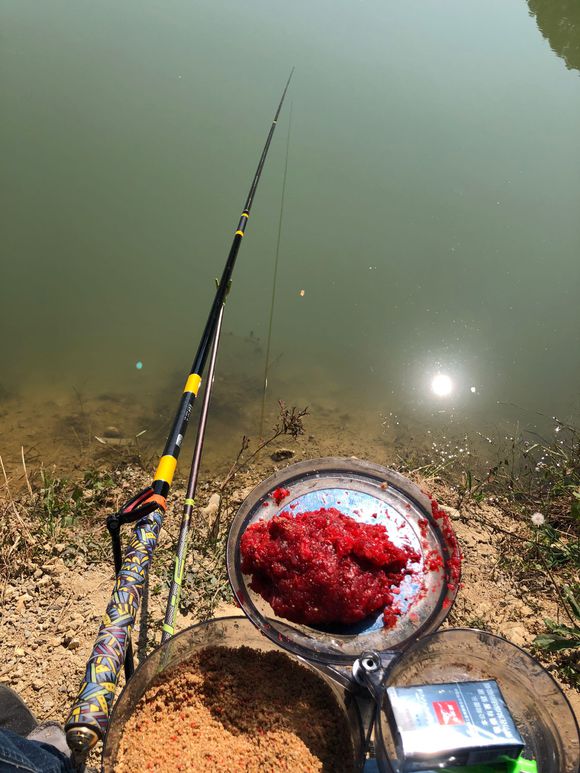 夏天打窝鱼不开口怎么办,窝里鱼有泡但不开口怎么办