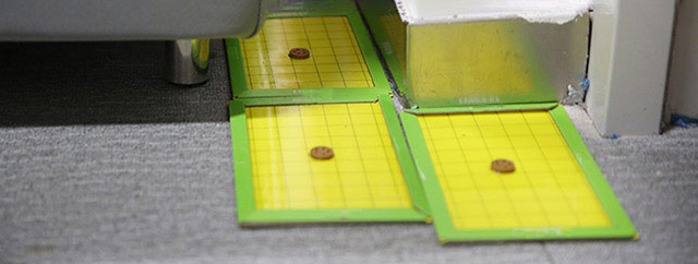 灭老鼠的方法视频教程,灭老鼠的最佳方法和用法