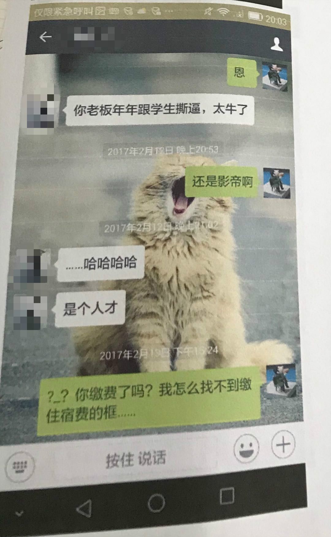 谁杀死了她全集,谁杀死了她结局深度解析