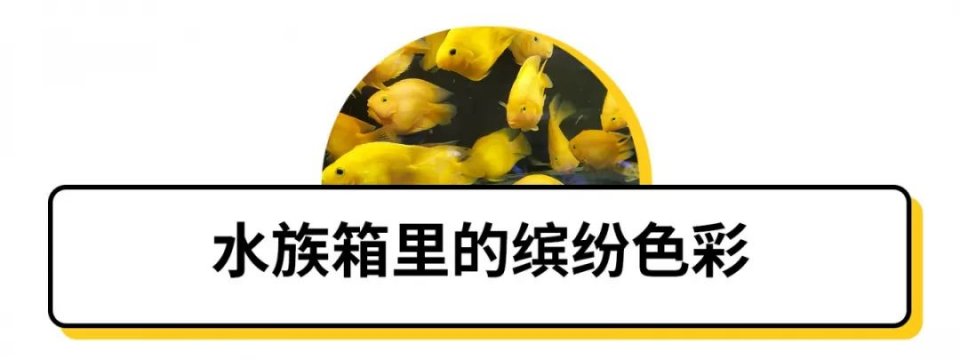 不去后悔去了更加后悔的景点,不去后悔去的景点