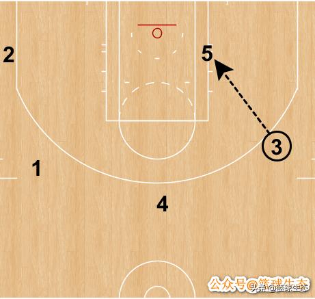 马刺米尔斯阿尔德里奇,马刺队中锋阿尔德里奇