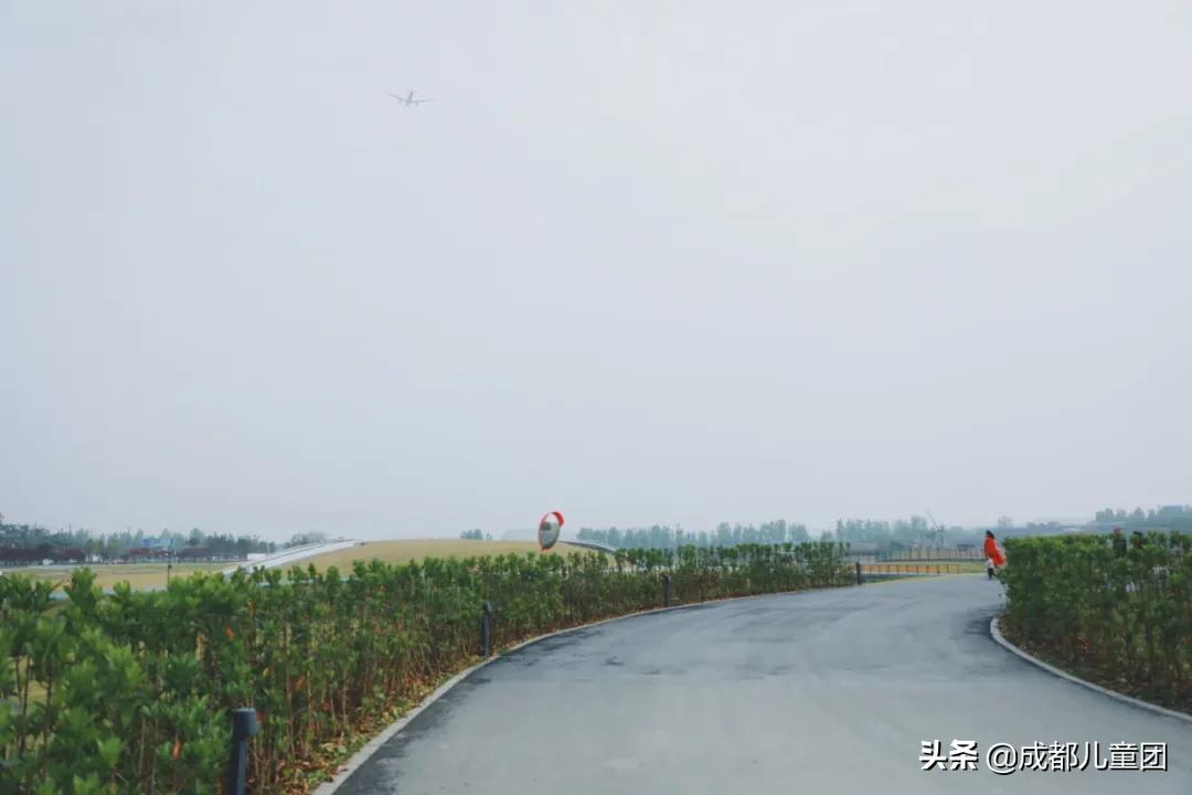 空港花田和空港体育公园哪个好,空港运动公园看飞机攻略