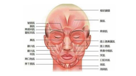 抗衰不再是简单的面部抗衰,风靡全球面部抗衰的最好方法