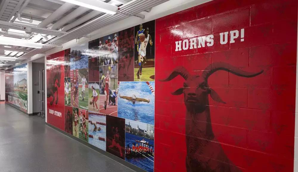 美国伍斯特理工学院世界排名,伍斯特理工学院排名